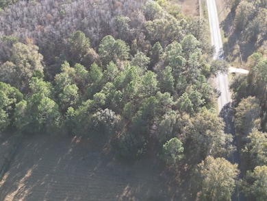 1555 Hwy 177a, Bonifay, FL 32425 - photo 5