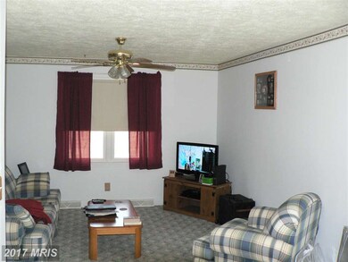 1586 Walnut Bottom Rd, Fisher, WV 26818 - photo 4