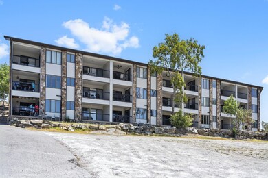 361 Anchors Point Ln unit 305, Kimberling City, MO 65686 - photo 2