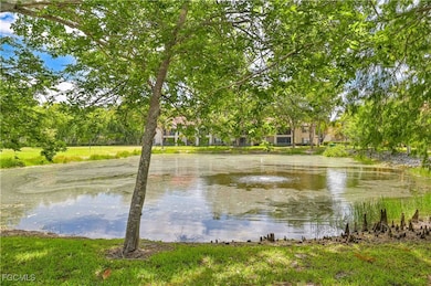 2058 Arbour Walk Cir unit 3316, Naples, FL 34109 - photo 2