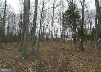 0 Noland Ridge Rd unit 1000215419, Slanesville, WV 25444 - photo 3