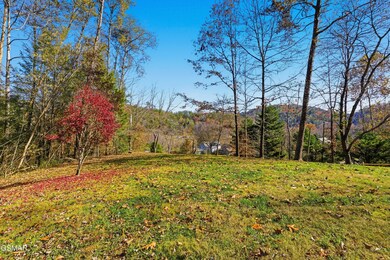 3410 Jason Place, Sevierville, TN 37876 - photo 2