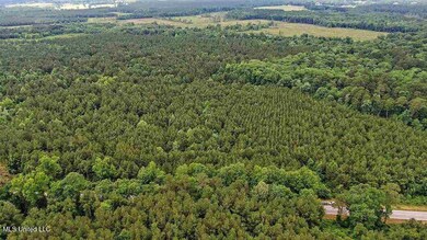 02 Highway 28, Mize, MS 39116 - photo 5