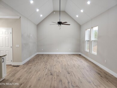 194 W West Park Cir, Decatur, TN 37322 - photo 4