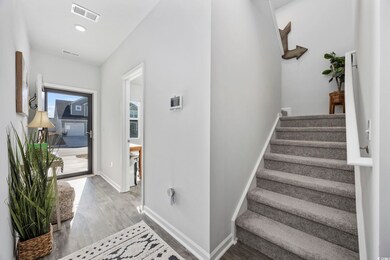 Stairs with hardwood / wood-style floors