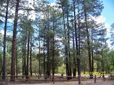 tall pines