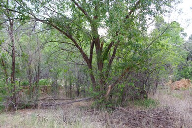 700 N Adams Place, Show Low, AZ 85901 - photo 2