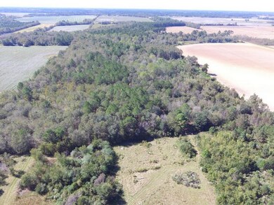 88.2 acr Ione Rd, Pavo, GA 31778 - photo 6