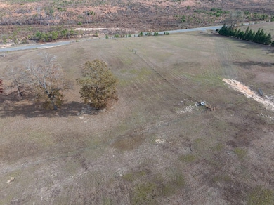 297 Ga Highway 240, Buena Vista, GA 31803 - photo 4