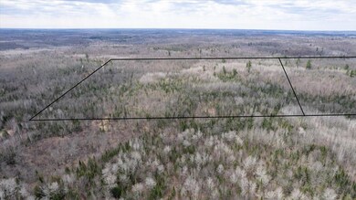 5600 Otto Rd, Oakland, WI 54874 - photo 5