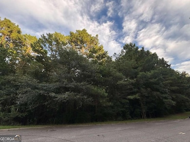 4820 Lexington Rd, Athens, GA 30605 - photo 3