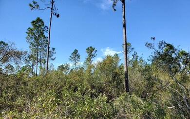 0 SW Prine Rd unit 121586, Lee, FL 32059 - photo 3