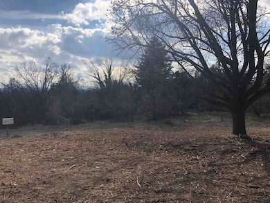 1.96 Captain Hizer Ln, Fort Defiance, VA 24437 - photo 3