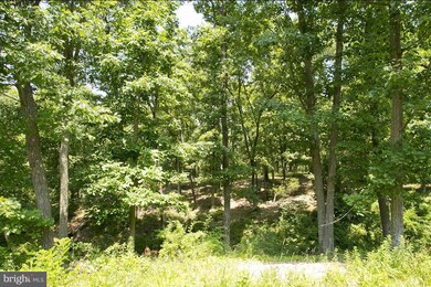 52 Wayside Mill Ln, Middletown, VA 22645 - photo 7