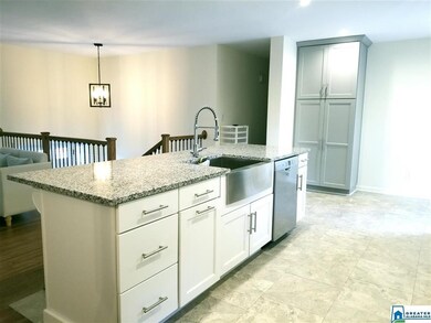 The island features a stainless steel farmhouse si