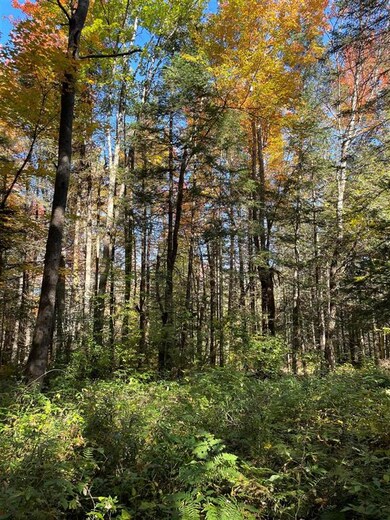 1010 Fellows Rd, Guildhall, VT 05905 - photo 5