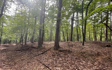 Additional View