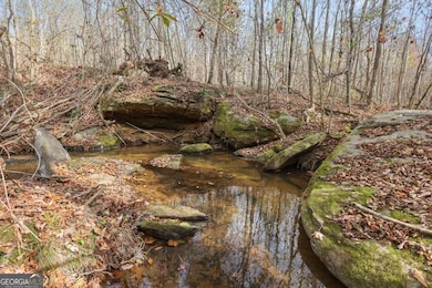 88 Paul Smith Rd unit 9, Covington, GA 30014 - photo 3