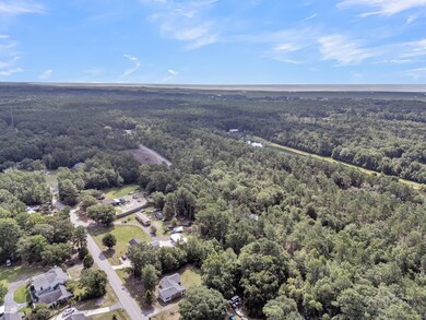 5646 Giddyup Ln, Awendaw, SC 29429 - photo 6