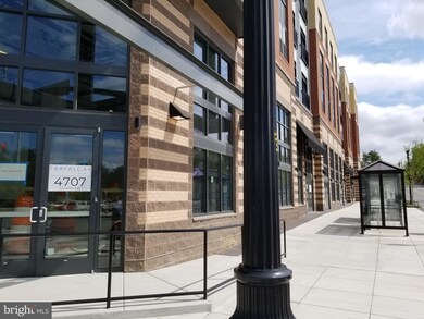 Trafalgar Flats unit 209, Arlington, VA 22204 - photo 4