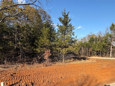 491 Reflection Bay Blvd, Gordonville, TX 76245 - photo 2