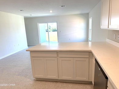 481 Salt Creek Ln, Mexico Beach, FL 32456 - photo 5