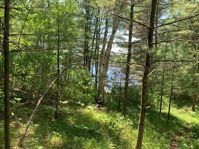 Lot 2 McCarthy Lake Rd, Tomahawk, WI 54487 - photo 7
