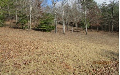 TR 1 Sky Hawk Spur, Hiawassee, GA 30546 - photo 4