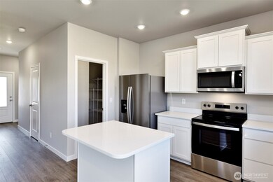 9739 Hay St SE, Yelm, WA 98597 - photo 4