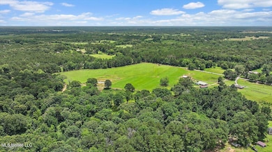 0 James Boyakin Barnett Rd, Mendenhall, MS 39114 - photo 4