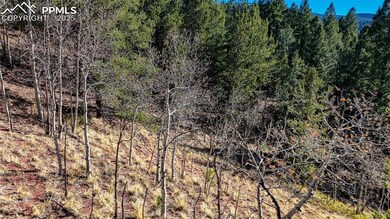 741 Pikes Peak Dr, Divide, CO 80814 - photo 5