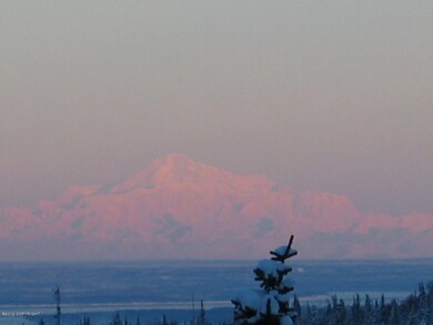 Views of Denali, City