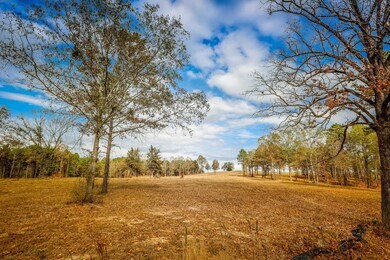 26 AC Cr 3103, Winona, TX 75792 - photo 6