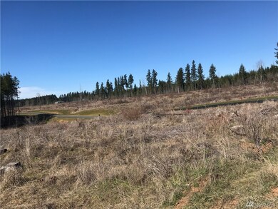 0 Remington Ln unit 1352247, Chehalis, WA 98532 - photo 2