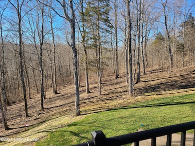 163 Goodlett Kilner Ct, Mount Washington, KY 40047 - photo 7