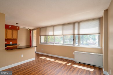Mica Condominiums unit 207, Silver Spring, MD 20910 - photo 6