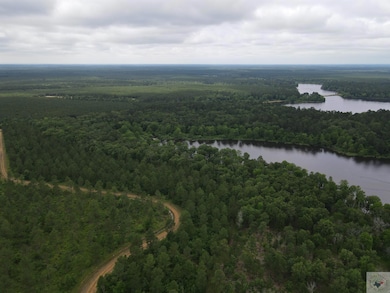 000 S Eagle's Way S, Bradley, AR 71845 - photo 5