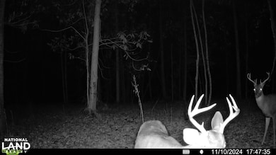 0 Old Hwy 51 NE, Brookhaven, MS 39601 - photo 3