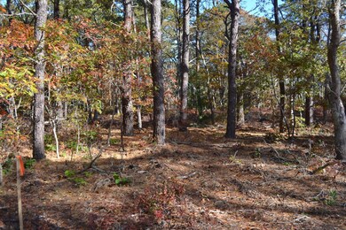 0 Columbian Ave unit 31292, Oak Bluffs, MA 02568 - photo 4