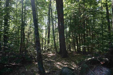 00 Whittier Hwy unit Lot 29B, Center Sandwich, NH 03227 - photo 3