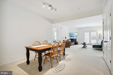 41895 Cathedral Valley Square unit A-303, Aldie, VA 20105 - photo 6