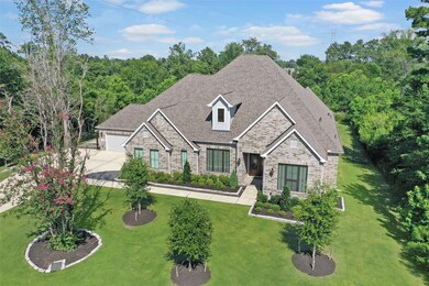 31110 Wild Pecan Dr, Tomball, TX 77375 - photo 4