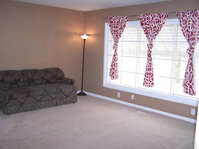 16.2 x 12, Carpet