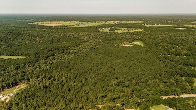 000 Highway 1083, Covington, LA 70435 - photo 7