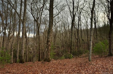 44 Deep Creek Trail unit 43, Arden, NC 28704 - photo 3