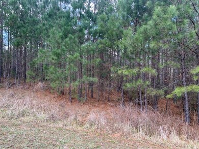 1107 Watersedge Cove, Tignall, GA 30668 - photo 2