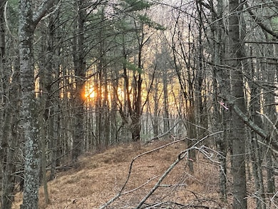 TBD River Beach Ln, Galax, VA 24333 - photo 2