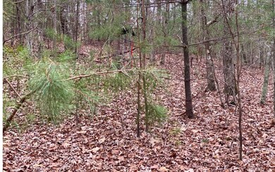 Additional View