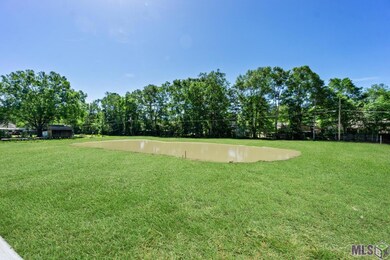 31860 Netterville Rd, Denham Springs, LA 70726 - photo 4