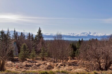 000 E End Road Homer AK 99603